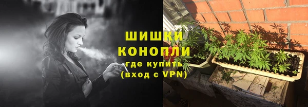 ешки Белокуриха